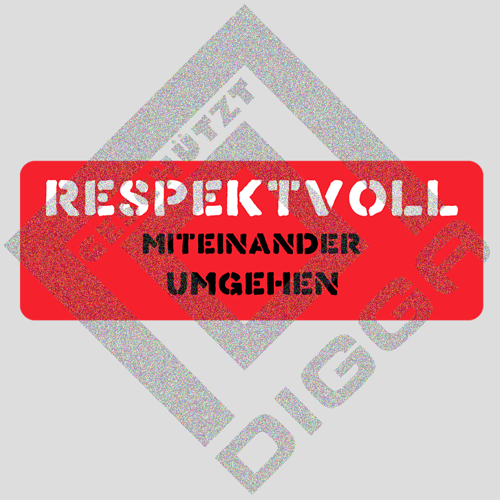 Respektvoll (Hoodie)