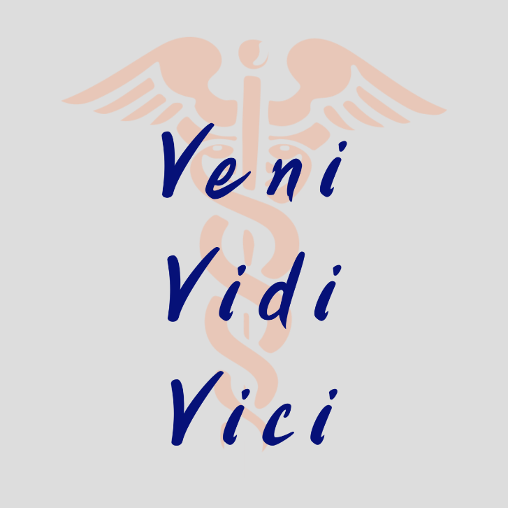 Veni Vedi