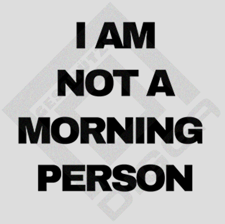I am not a morning person (T-Shirt)