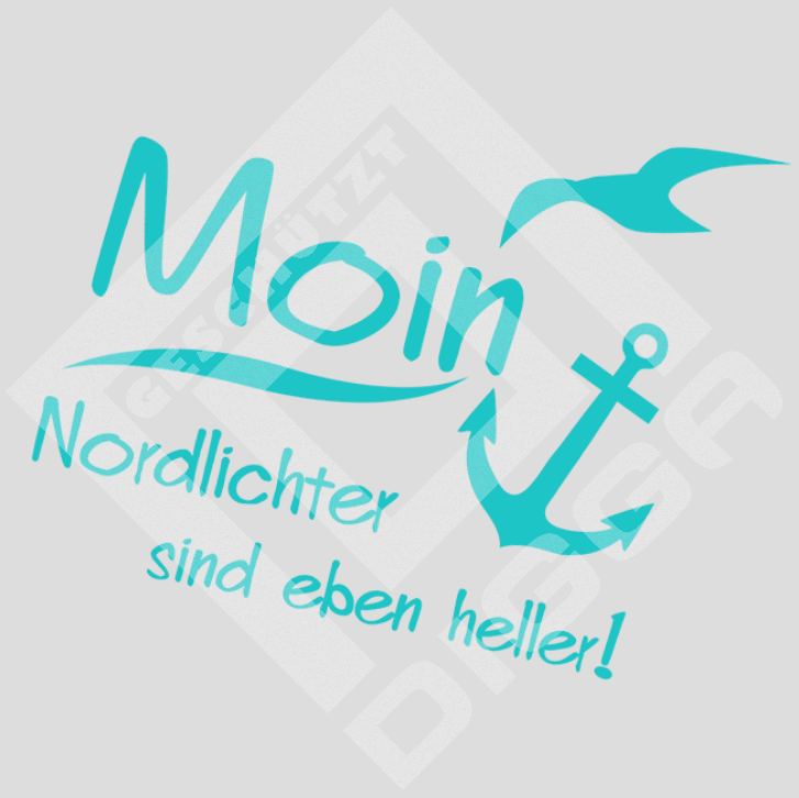 Moin Nordlichter (T-Shirt)