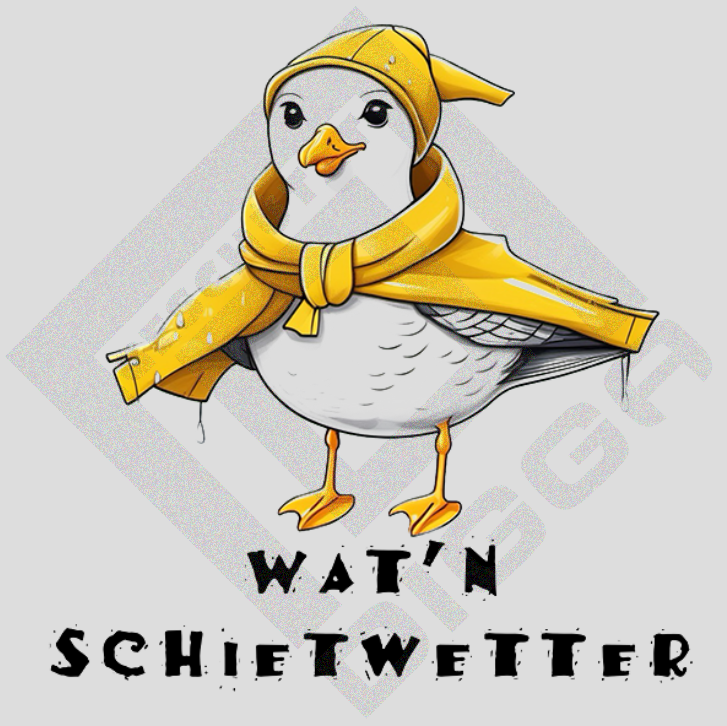 Wat'n Schietwetter (T-Shirt)
