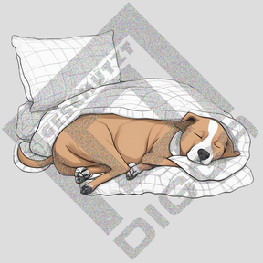 Schlafshirt (Hoodie)